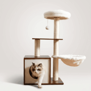 Compact cat tree in warm walnut wood with sisal scratching posts, round plush perch, hanging hammock, circular condo doorway, and a Ragdoll cat peeking out on a light background