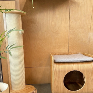 catmeily Chair-Claw Grinding Corner Cabinet Bentwood Cat Scratcher Multi-functional Corner Cat Tree Dimensions and Features