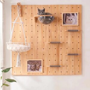 Pegboard cat wall starter set with macramé hammock, clear acrylic cat nest, sisal climbing steps, and photo frames on a light wood wall panel